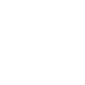 Von Rock Law Logo