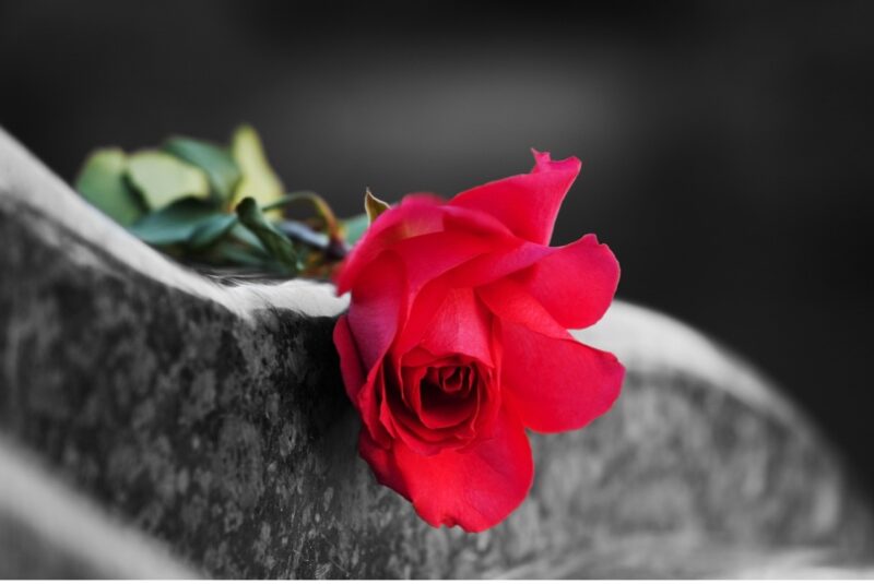 What Happens When A Business Owner Dies Rose on a grave