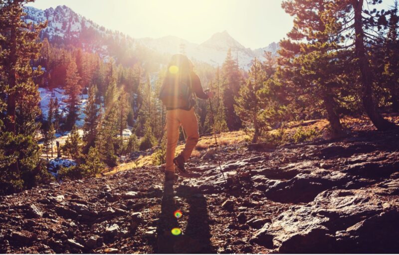 A hiker on a mountain slope.